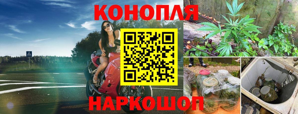 Конопля Bruce Banner  МАРИХУАНА семена  Вход с VPN  Сальск  Марихуана MAZAR 